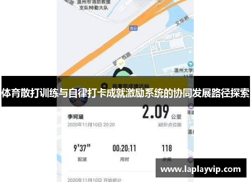 体育散打训练与自律打卡成就激励系统的协同发展路径探索 体育散打训练与自律打卡成就激励系统的协同发展路径探索